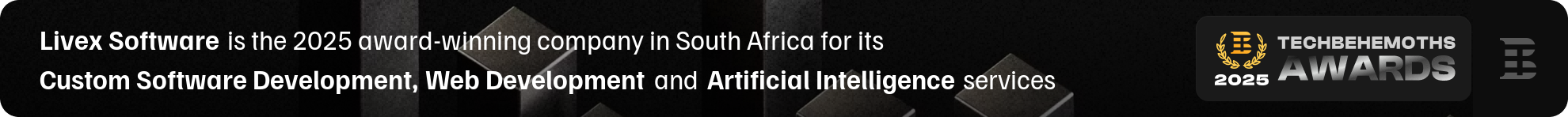 livex software development award 2025